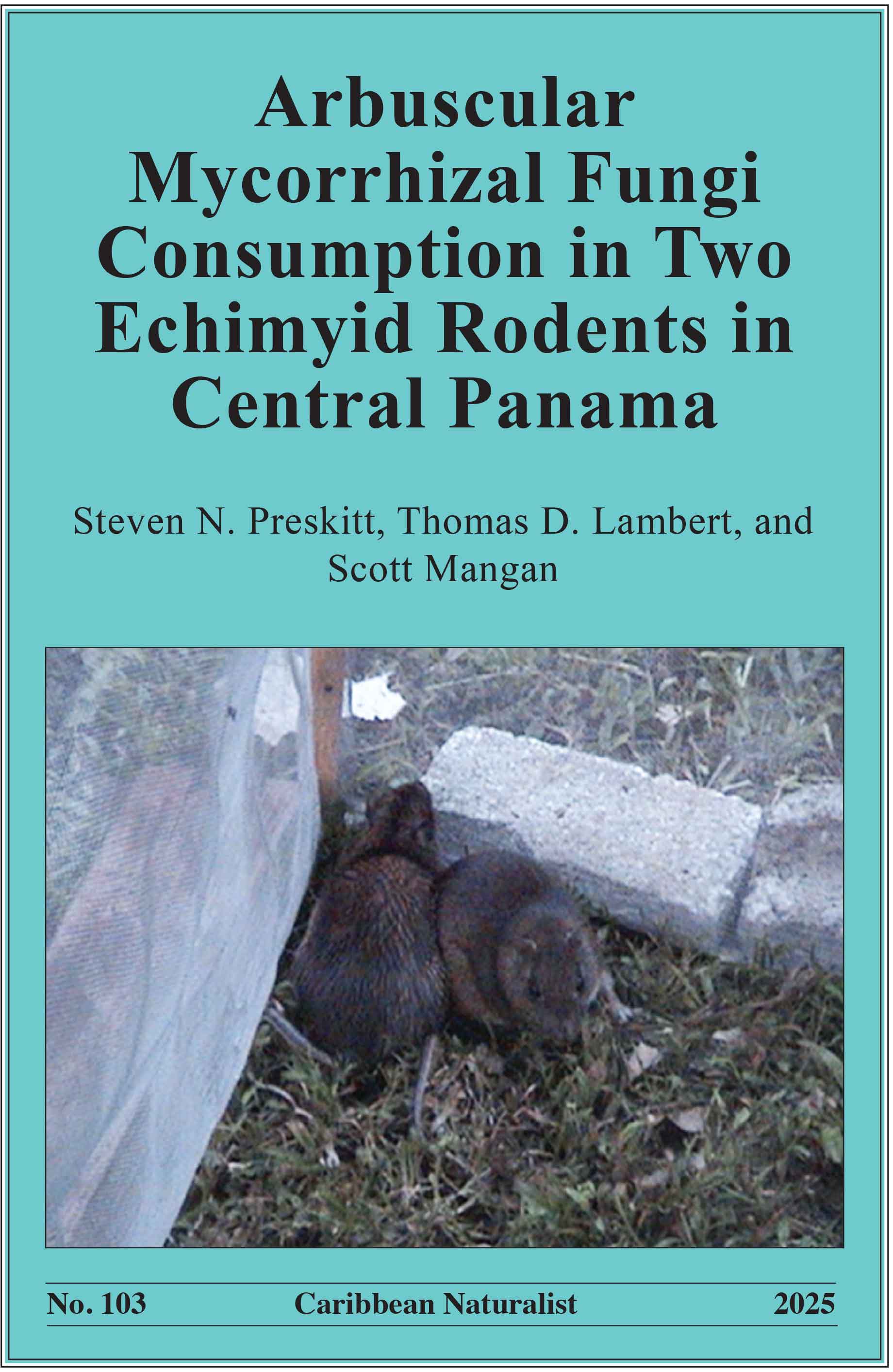 Caribbean Naturalist Number 103 cover