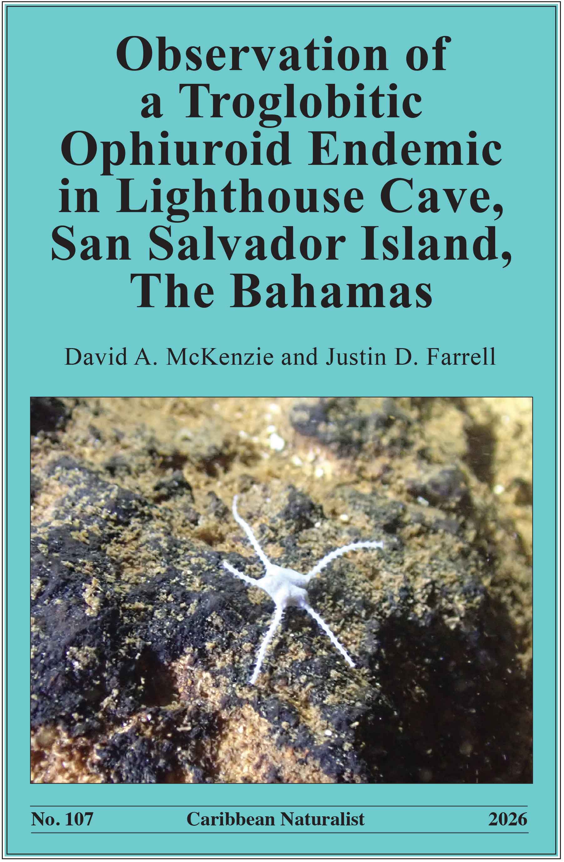 Caribbean Naturalist Number 107 cover