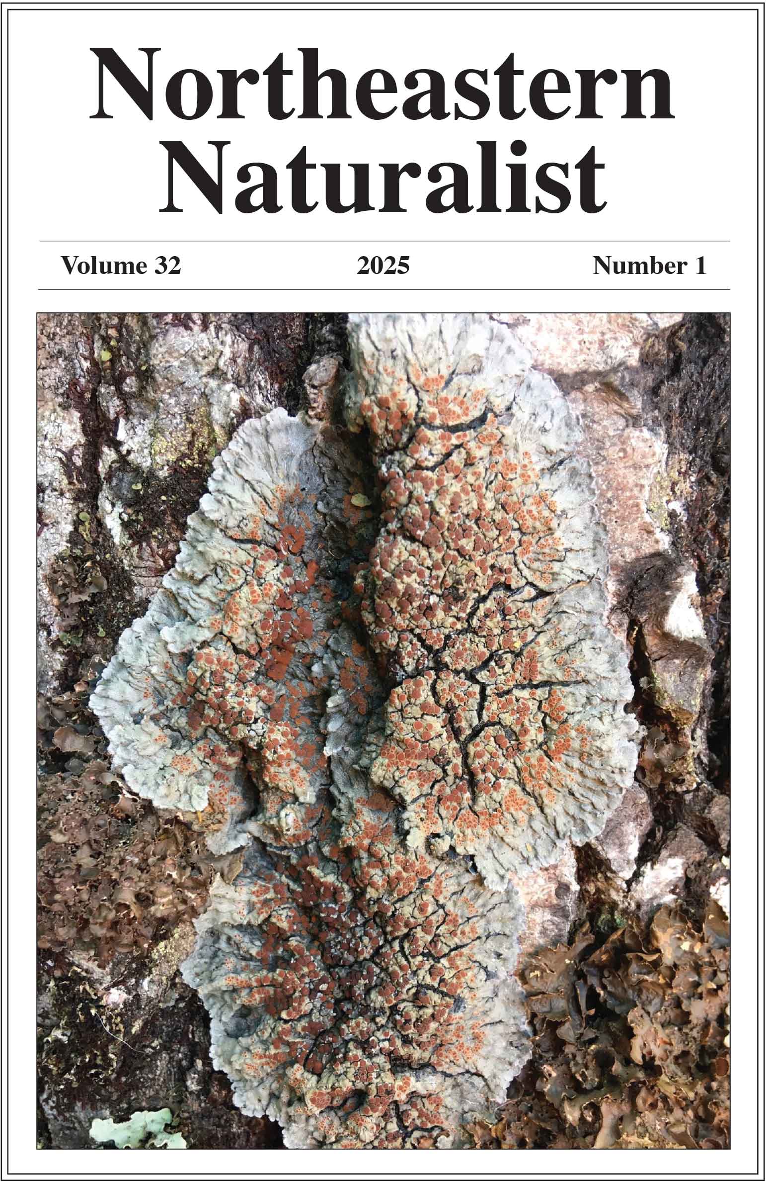 NENA front cover issue 32/1