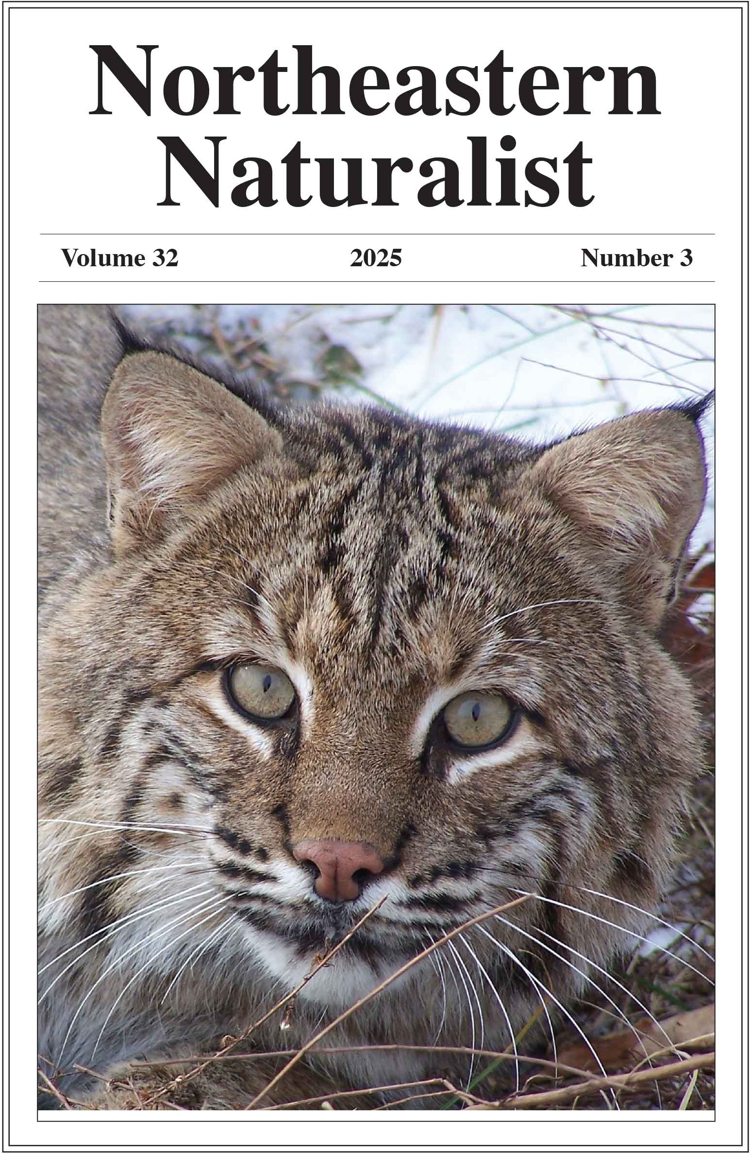 NENA front cover issue 32/3