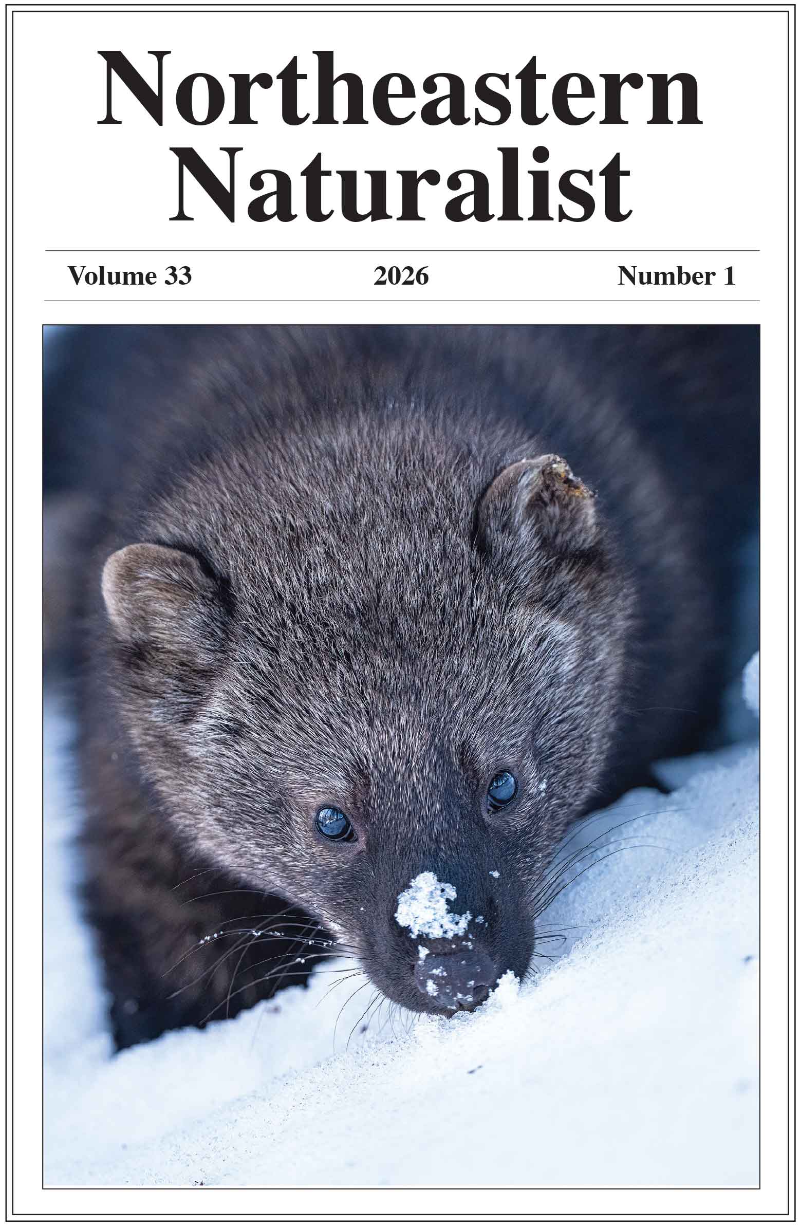 NENA front cover issue 33/1