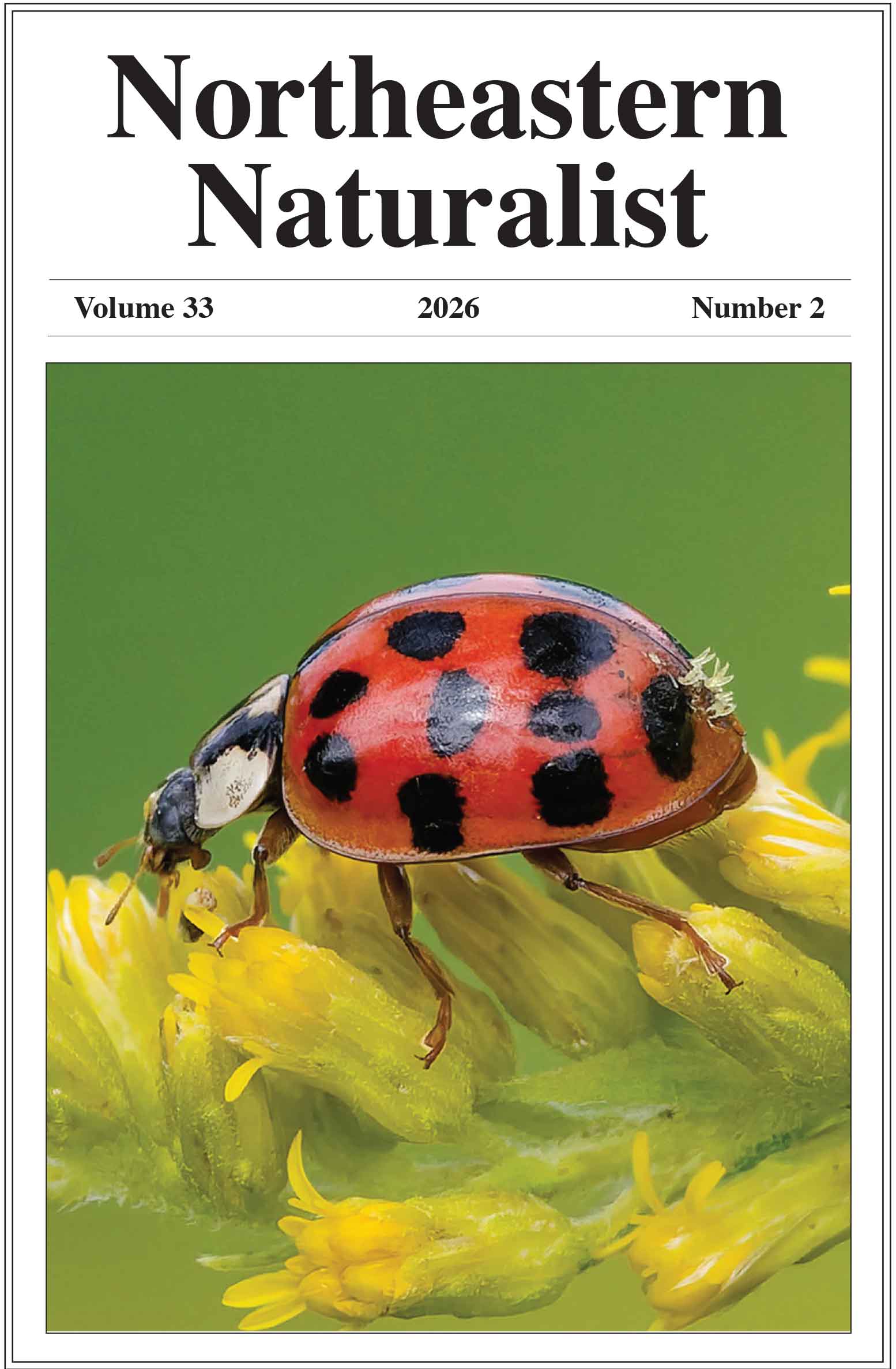 NENA front cover issue 33/2