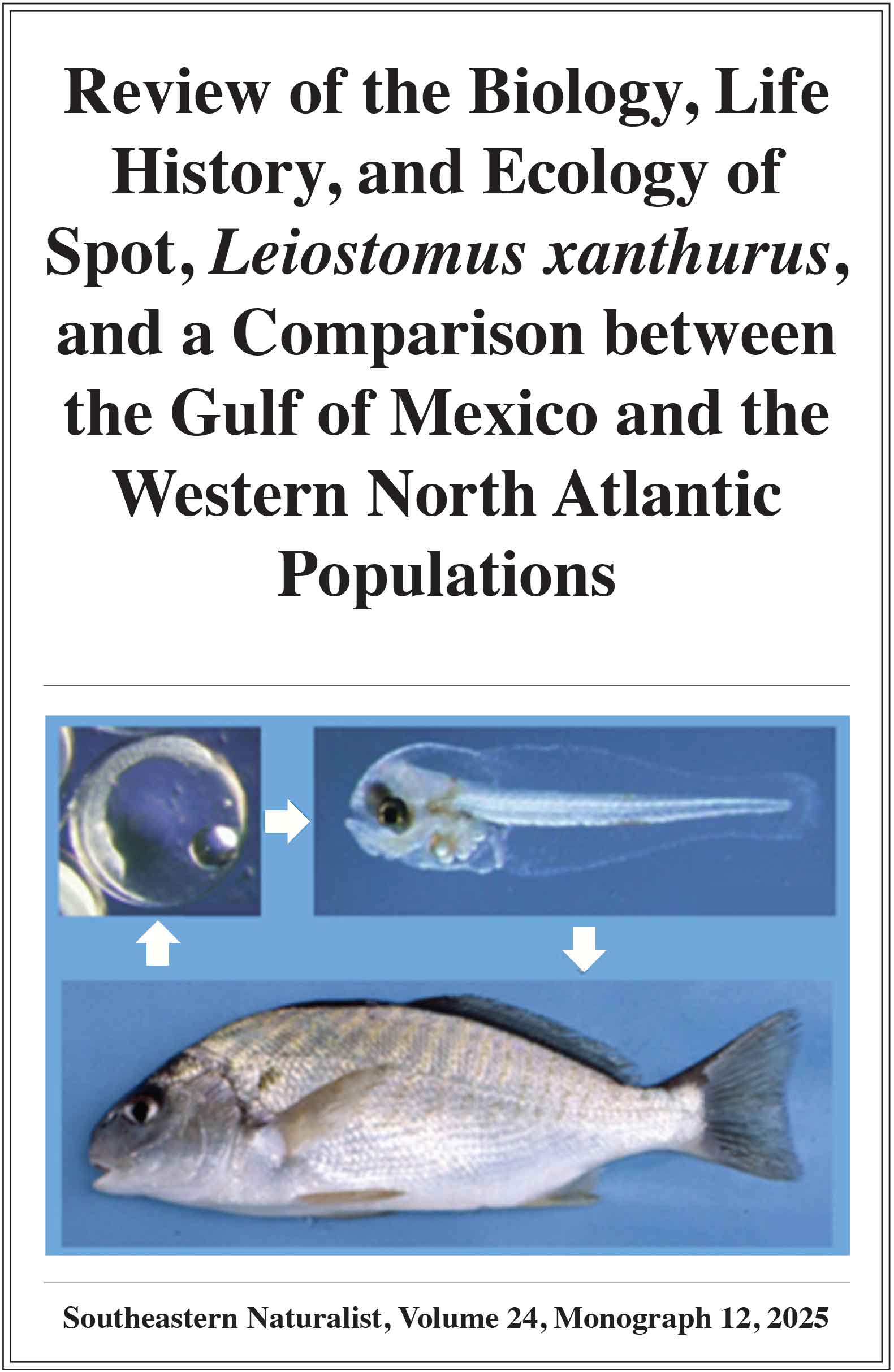 SENA monograph 12 cover